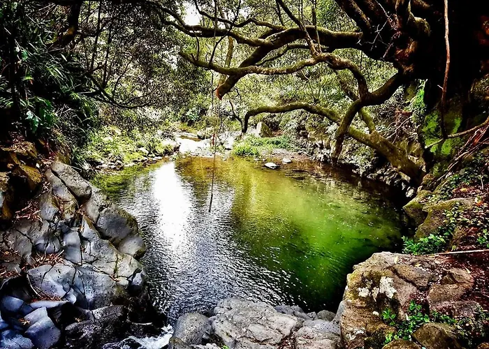 Casa Da Cascata Do Segredo Appartement *